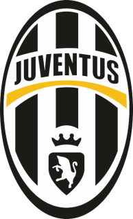 Juventus nálepka 5 x 8,5 cm - SKLADOM