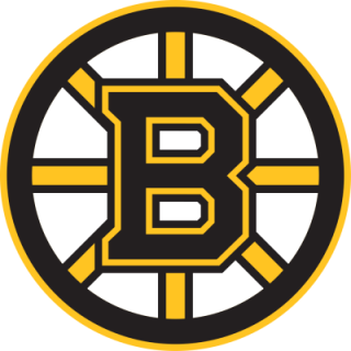 Boston Bruins nálepka - SKLADOM