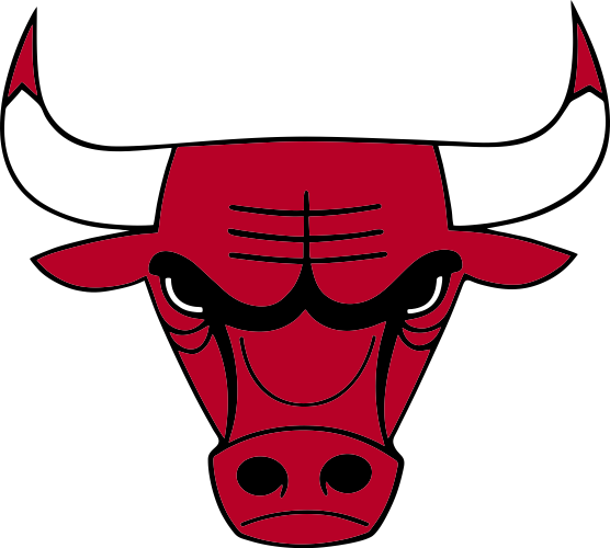 Chicago Bulls nálepka - SKLADOM