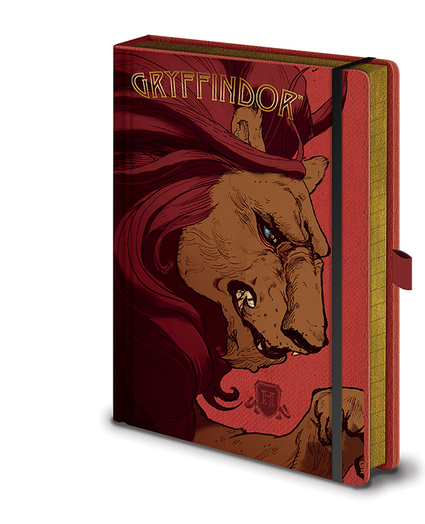 Harry Potter Gryffindor - Chrabromil notes