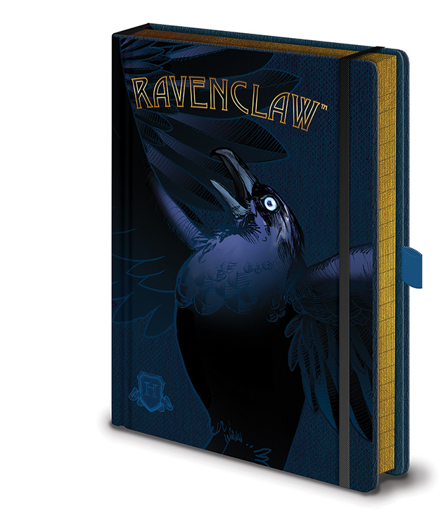 Harry Potter Ravenclaw - Bystrohlav notes