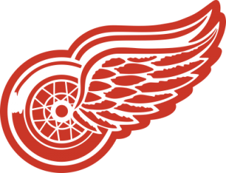 Detroit Red Wings nálepka 8 x 3,8 cm - SKLADOM