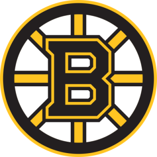 Boston Bruins nálepka 3,7 x 3,7 - SKLADOM