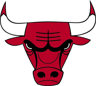 Chicago Bulls nálepka