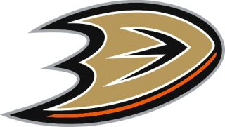 Anaheim Ducks nálepka - SKLADOM