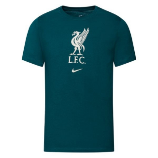 Nike Liverpool FC tričko tyrkysové pánske