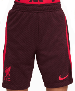 Nike Liverpool tréningové kraťasy detské 2022-2023