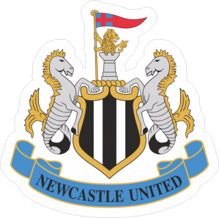 Newcastle United FC nálepka 10x9,9 cm - SKLADOM