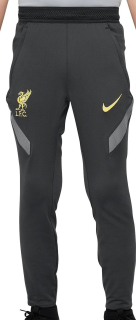 Nike Liverpool FC tréningové nohavice šedé detské 2021-2022